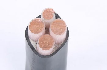 電纜知識科普，輕松變大神！